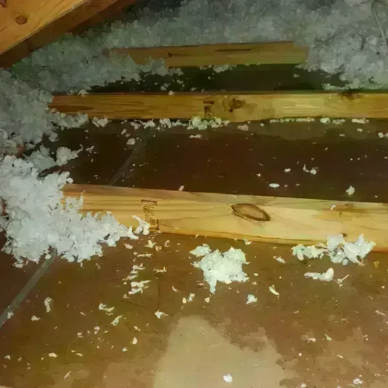 Attic Water Damage in Kodiak Island Borough, AK